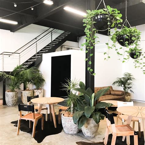 5 Indoor Plant Arrangements For Your Sydney Office Godiygocom