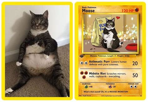 This Artist Creates Custom Pokémon Cards Of Pets And Its The Coolest