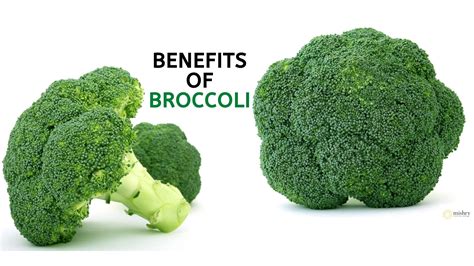 Amazing Health Benefits Of Broccoli You Should Know