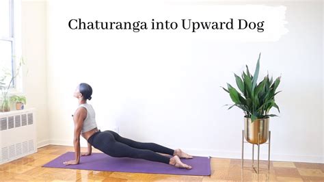 Chaturanga To Upward Facing Dog Breathe Flow Be With Sharron Lynn