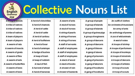 English Collective Nouns List Most Important Collective Nouns My XXX