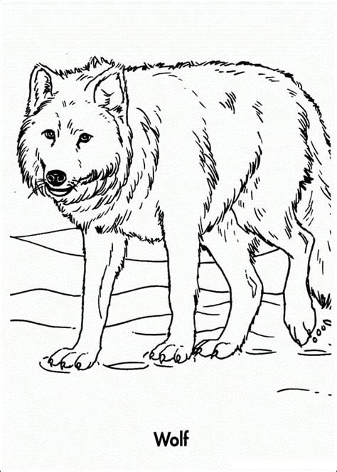 Wolf Coloring Pages Free Printable Coloring Pages For Kids