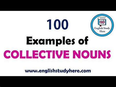 Examples Of Collective Nouns Most Important Collective Nouns List