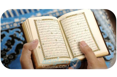 دعاء لطالبات القرآن