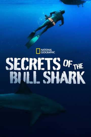 Secrets Of The Bull Shark 2020 Movie Moviefone