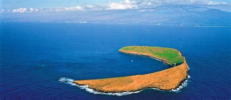 Snorkel Molokini Crater Maui Hawaii With Four Winds Ii Maui