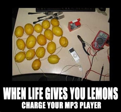 You guys are all uncultured swines. What are the best 'when life gives you lemons...' memes ...