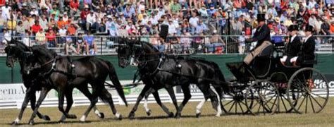 A contract of carriage is a contract between a carrier of goods or passengers and the consignor, consignee or passenger. World Equestrian Games Carriage Driving Short List Announced | Equestrian Australia