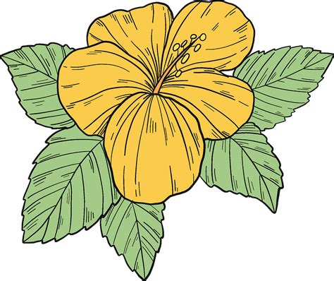 Yellow Hibiscus Flower Clipart Free Download Transparent Png Creazilla