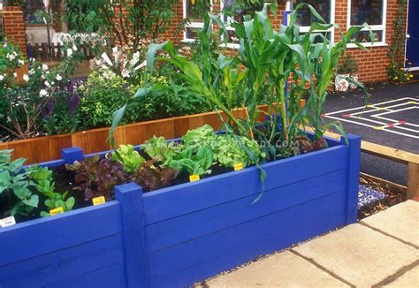Vegetable Garden With Elevated Wooden Raised Beds For Easy