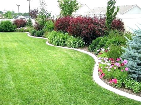 Image Result For Plants Around The Fence Backyard Landscaping Designs