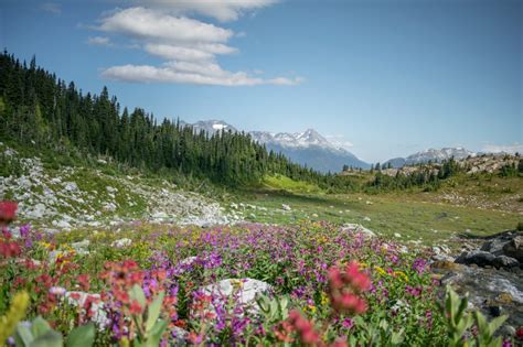 The Best Hiking Trails In British Columbia Canada