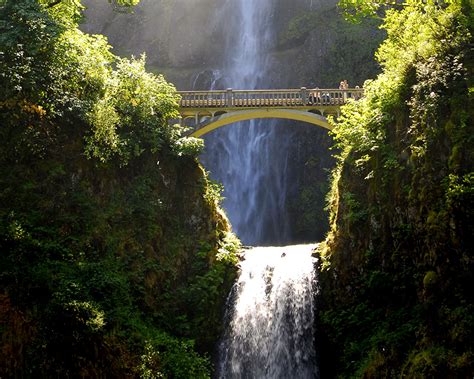 Image Usa Multnomah Waterfalls Rock Bridge Nature Waterfalls Shrubs