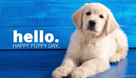 Official twitter for national puppy day (march 23rd) celebrating puppies + encouraging our newest division of puppy team members is looking good. Free Happy Puppy Day! (3/23) eCard - eMail Free ...