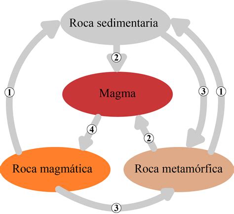 Fases Del Ciclo De Las Rocas