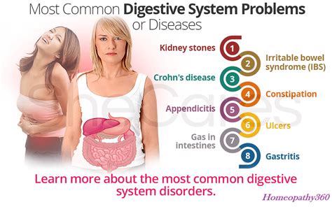 Digestive System Disorders And Homoeopathic Treatment