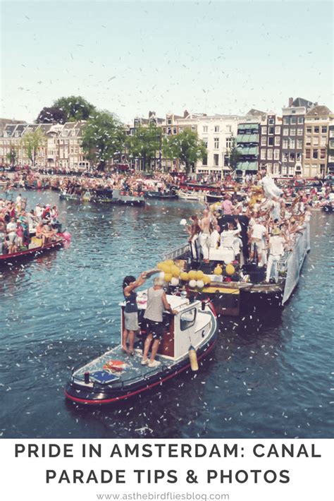 amsterdam travel amsterdam pride s canal parade as the bird flies travel writing and