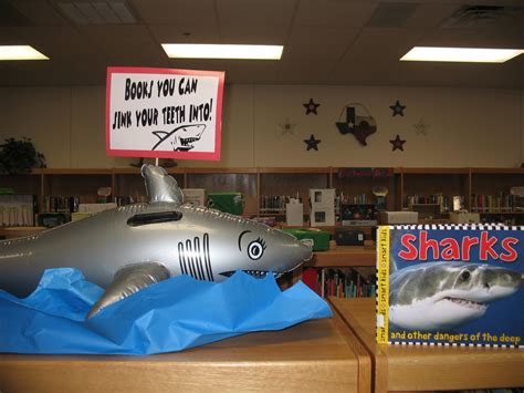 Taylor Library Blog Ocean Animal Book Displays