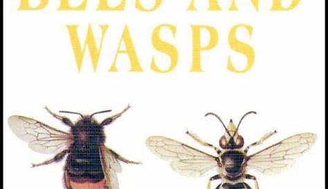 A Field Guide in Colour to Bees and Wasps