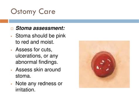 Ppt Ostomy Care Powerpoint Presentation Free Download Id1972840