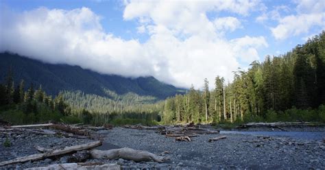 Backpack The Hoh River Trail Washington