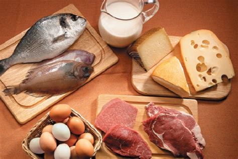 Alimentos Ricos En Fibras Y Proteínas Guia De Cocina Facil