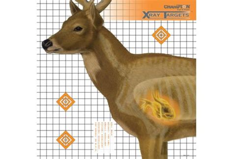 Champion X Ray Target Deer 25x25 6 Pack