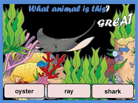Sea animals - online presentation