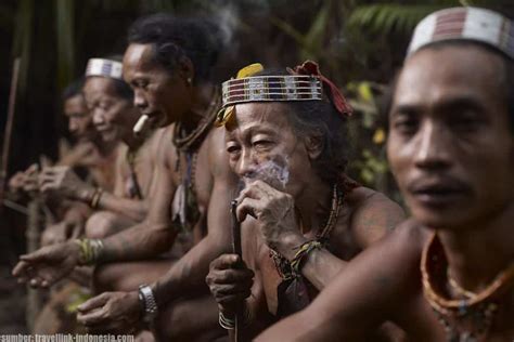 Suku Dayak Asal Daerah Adat Kebiasaan Dan Fakta Unik
