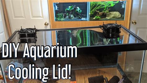 Aquarium Cooling Diy Aquarium Cooling Lid Youtube