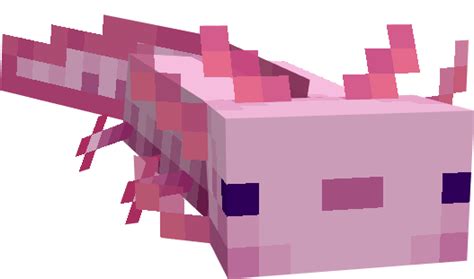 Mcpebedrock Axolotls Replica Concept Minecraft Addons Mcbedrock Forum