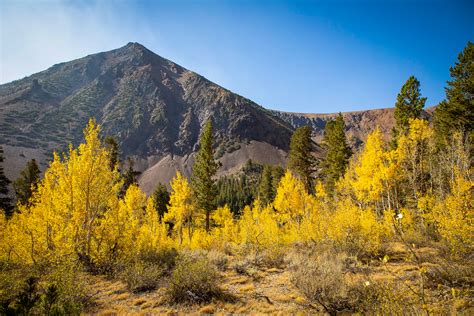 Where To Find The Prettiest Fall Foliage In Northern California And Bay