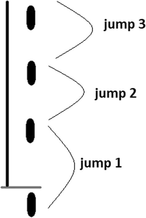 Triple Hop For Distance Test Scheme Download Scientific Diagram