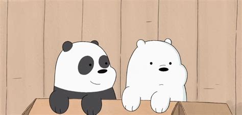 We Bare Bears Panda And Ice Bear Wallpaper Kartun Ilustrasi Karakter Kartun
