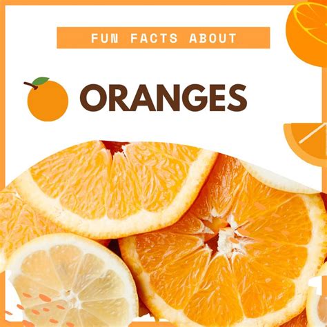 Fun Facts About Oranges Oranges Fun Facts Facts