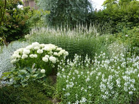 By characteristics or by cultivar name. white hydrangea garden - Google Search | Jardin | Pinterest | White gardens, Hydrangea and Gardens