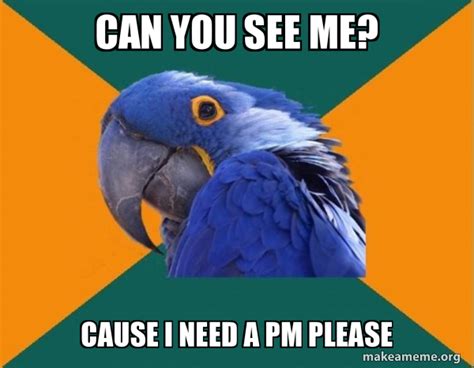 Can You See Me Cause I Need A Pm Please Paranoid Parrot Make A Meme