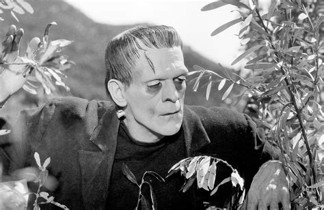 playing god across eras the legacy of frankenstein in film