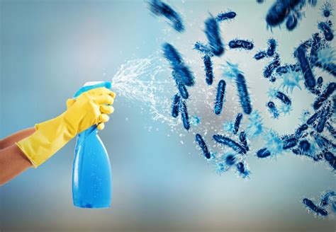 The Must Read Guide To Home Disinfecting Cimara Cleaning Services