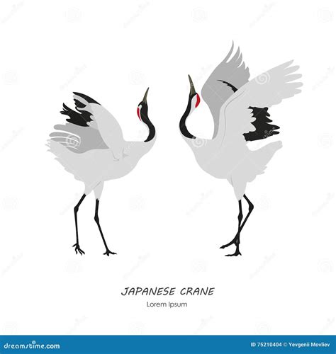 Two Japanese Cranes Dancing On A White Background Stock Vector