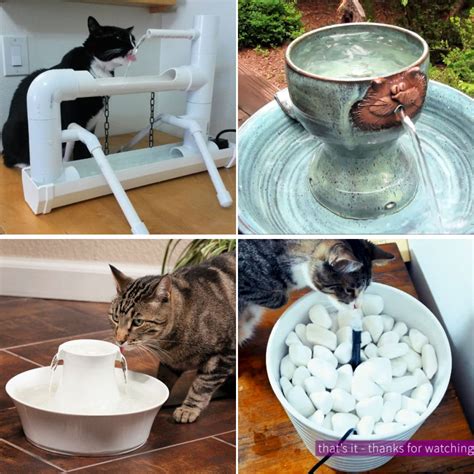The materials you need to build this filtered cat fountain are a water filter, a large bowl, and plastic or wood pieces (as shims). 7 Easy DIY Cat Fountain Ideas - Cat Water Fountains