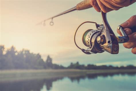 Best Spinning Reels Reviewed For November Fishmasters Com