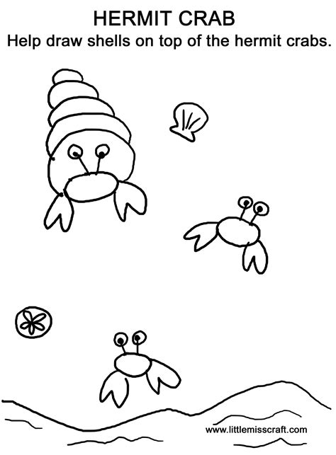 Printable Coloring Kids How To Draw A Hermit Crab For Kids Hermit