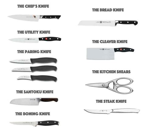 Types Of Kitchen Knives With Pictures Besto Blog