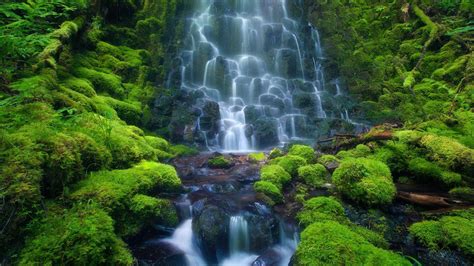 Rainforest Waterfall Wallpapers Wallpaper Cave