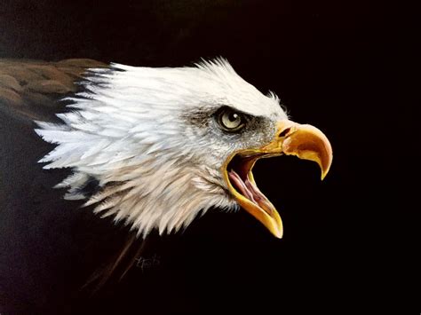 Bald Eagle Acrylic Painting By Kuvari On Deviantart