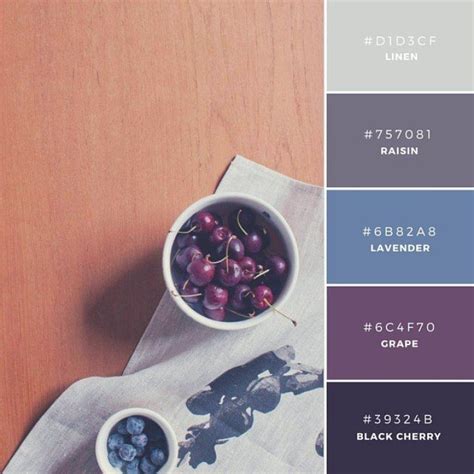 Vibrant Color Palette Combos Take Colors From The World To