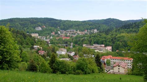 Kolejka do sanatorium - jak sprawdzić w przeglądarce ...