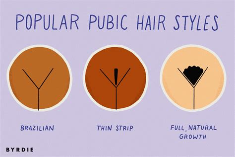 Popular Pubic Hair Styles Jamohn