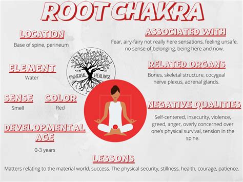 The Chakra Basics Healing Your Root Chakra Universal Healings